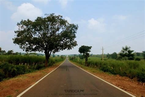 Bangalore to Mananthavady via HD Kote