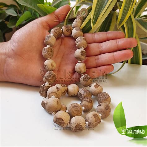 Original Tulsi Sumirani Mala of 27 +1 Beads Japa Mala - Tulsi Mala