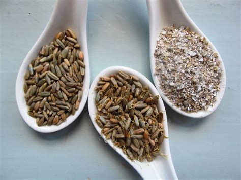 Danish Seeded Rye Bread Malt Flour - The Bread She Bakes