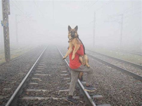 Temperature dips in Delhi - Northern India faces double whammy of bone ...