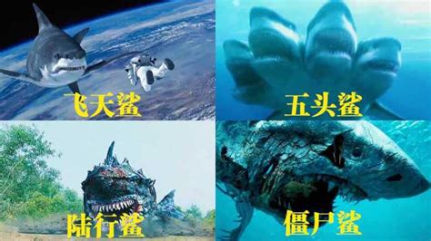 巨齿鲨pk五头鲨,巨齿鲨vs大王乌贼,霸王鲨(第11页)_大山谷图库