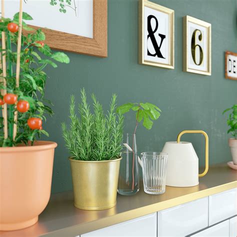 A green and fresh BODBYN kitchen - IKEA