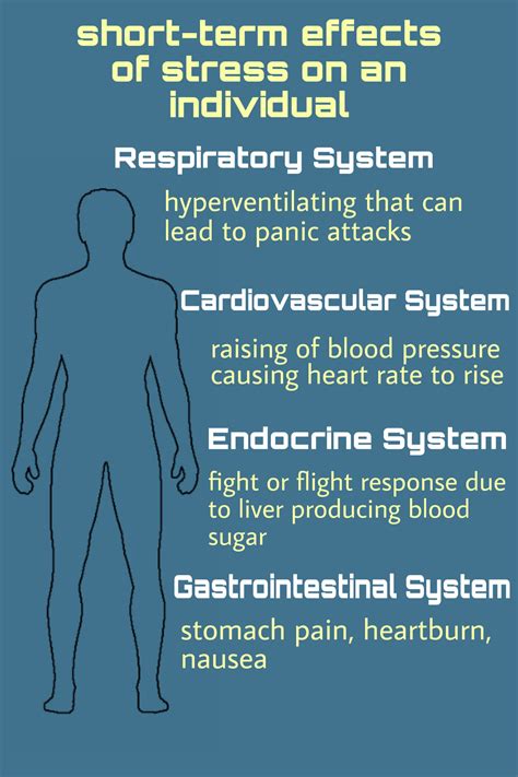 Infographic effects of stress on the human body – Artofit