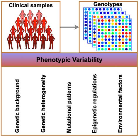 Pharmacogenomics: A Genetic Approach to Drug Development and Therapy