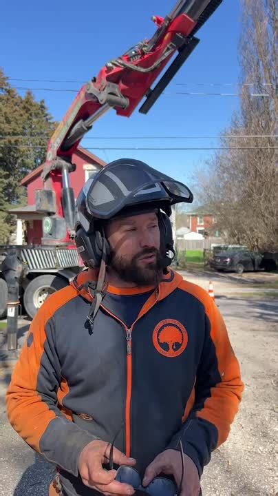 Image result for Remote Control Tree Removal