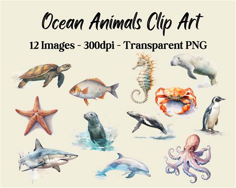 Ocean Animals Clip Art, 12 png images, 300 dpi, Commercial Use - Kelly ...