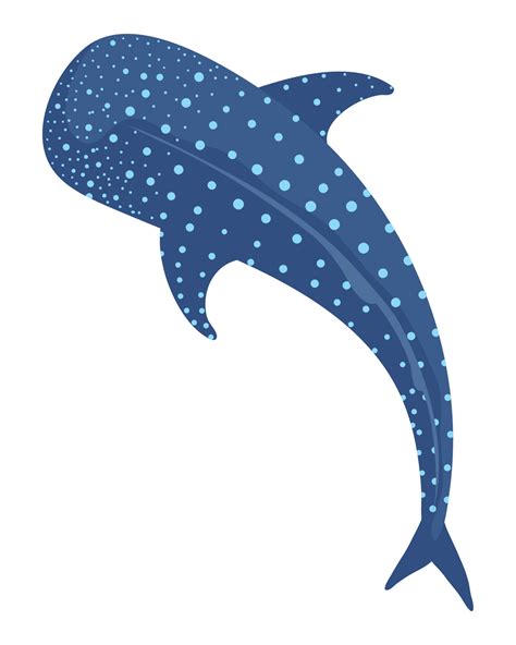 Whale Shark Sketch