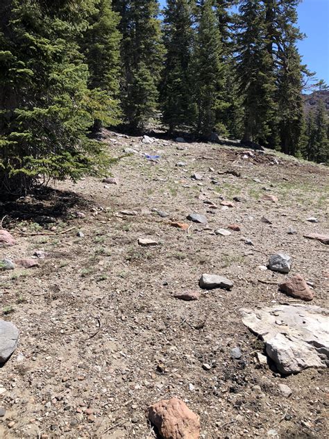 Mt Shasta and the return to the Telos portal – June 2021 – 40kftview.com