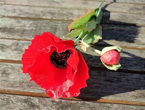 Crepe Paper Poppy Making Workshop, Keighley Civic Centre, 5 November ...