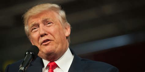 Why Donald Trump Might Legalize Weed | Inverse