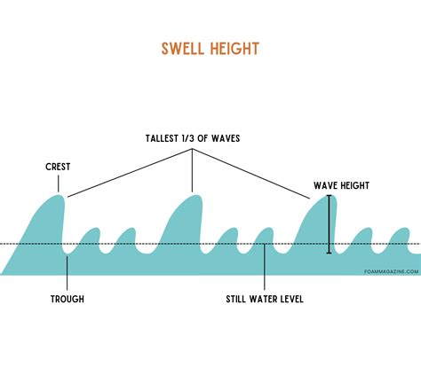 All About Swells: What They Are and How They Form in the Ocean