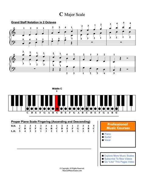 Image result for Musical Scale Notes