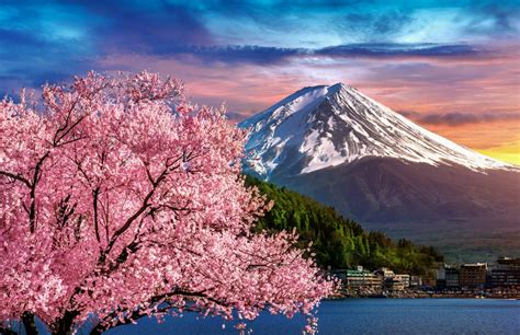 Cherry Blossom Japan 2025 | Cherry Blossom Festival | Cherry Blossom Japan Package | Cherry ...