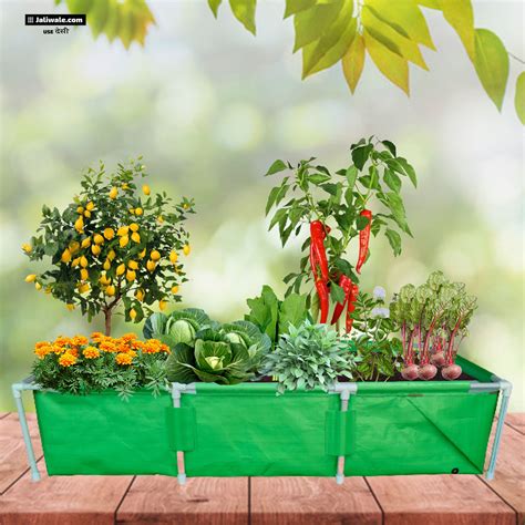 Best Grow Bags For Plants at Loren Bona blog