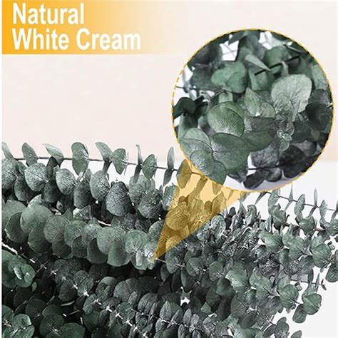 Buy HOMESAKE Set of 10 Dried Eucalyptus Sticks - 50.8cm from Homesake ...