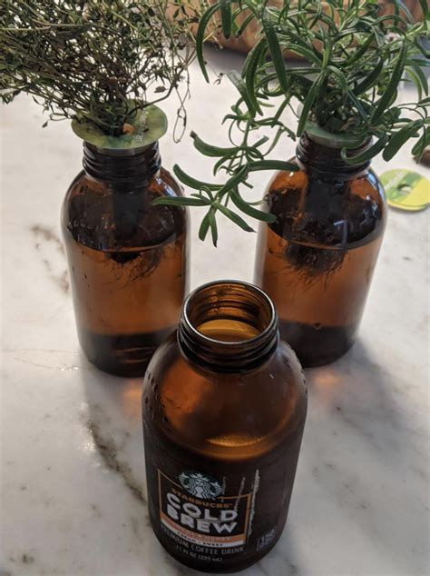 kratky using starbucks cold brew bottles - : r/aerogarden