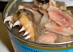 Image result for canned tamales