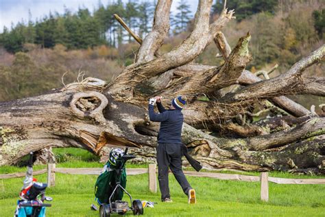 Top 10 eco-friendly golf courses in the UK (2023) — Gillyflower Farm
