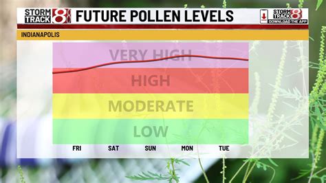 Peak Ragweed Pollen Triggers Fall Allergy Surge in Indianapolis: Weather and Traffic Updates ...