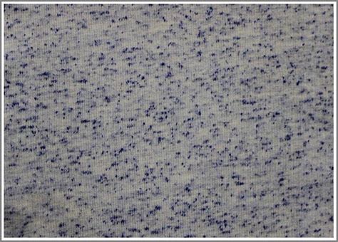 Rajvir Industries Limited