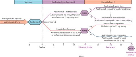 Comparison between adalimumab introduction and methotrexate dose escalation in patients with ...