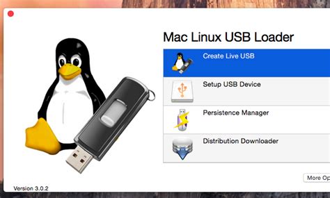 How to Boot in Linux to a USB Thumb Drive 的图像结果