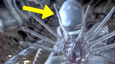 Alien Earth Facehuggers 的图像结果