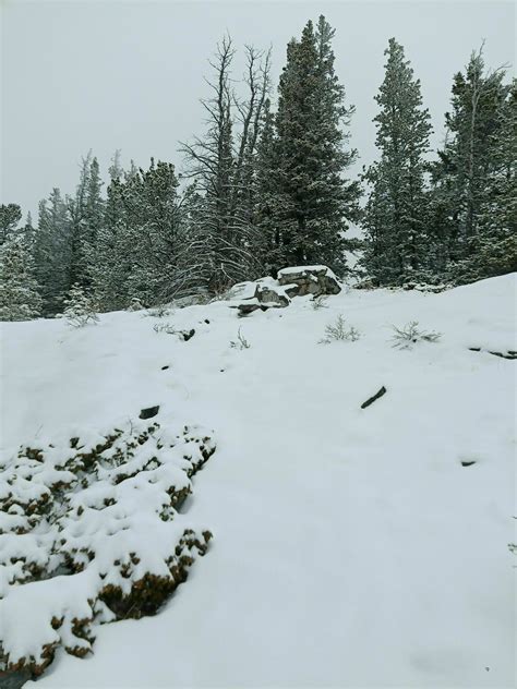 Grizzly Peak Trail - Alberta, Canada | AllTrails