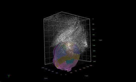 Move Objects Visual Components 的图像结果