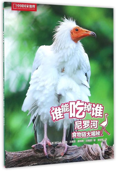 A Nile River Food Chain: A Who-Eats-What Adventure : Rebecca Hogue ...