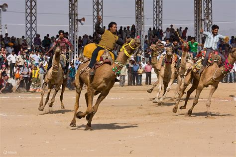 Watch Pushkar with Bikaner Drop from Jaipur included Guide Service ...
