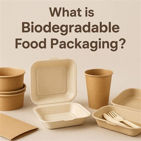 Biodegradable Food Containers 的图像结果