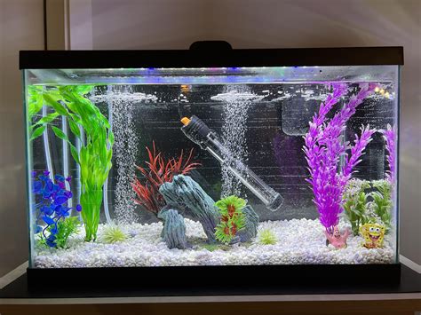 10 Gallon Fish Tank Setup Amazon.com : Bluecoco 3 Gallon Glass