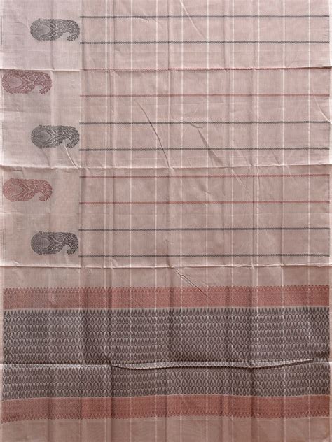 Light Fawn Venkatagiri Cotton Saree with Checks and Mango Buta Border ...