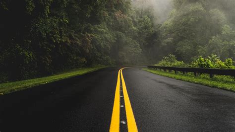 Download wallpaper 2560x1440 road, turn, asphalt, fog, trees widescreen ...
