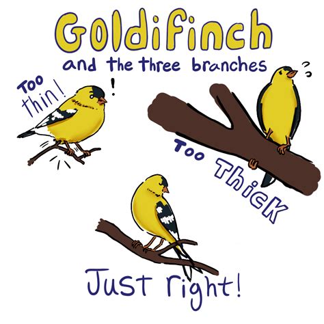 Animal Niche Examples