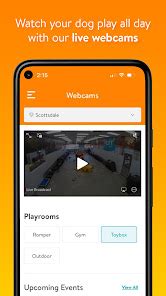 Image result for How to Download Dogtopia Java