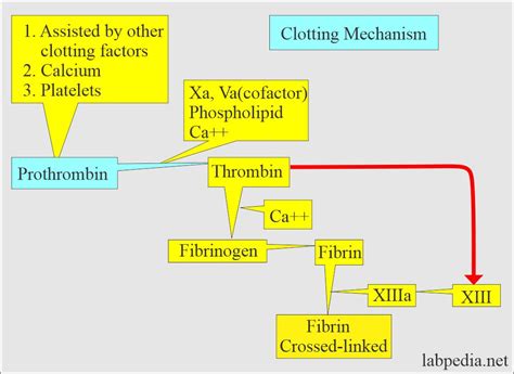 Image result for Prothrombin Time Normal Result