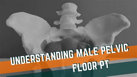 Understanding Male Pelvic Floor Physical Therapy | Onward PT