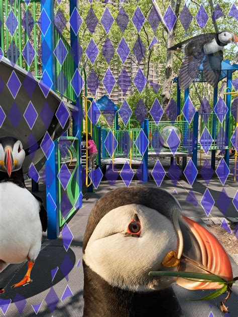 [Round 130061] New York City. Coordinates of the child, please. (20 ...