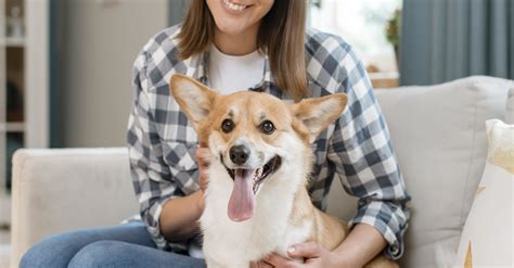 How to Care for Your New Dog's Basic Needs - Hastings Veterinary Hospital