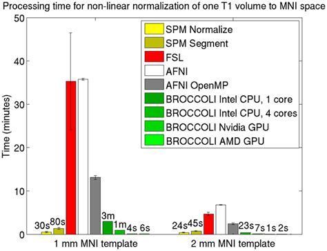 Volume Normalization 的图像结果