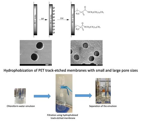 Graft Polymerization of Stearyl Methacrylate on PET Track-Etched ...