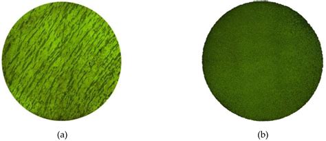 Low Cycle Fatigue Life Prediction Model of 800H Alloy Based on the ...