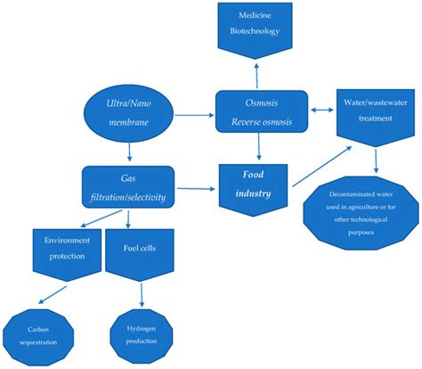 Nanomembranes as Eco-Friendly Instruments for Modern Food Processing ...