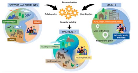 The Role of Clostridioides difficile Within the One Health Framework: A ...