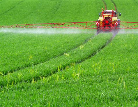 Endgültiges Aus für Flufenacet: Ende für betroffene Herbizide besiegelt ...