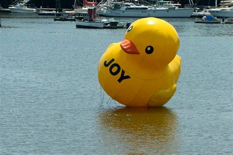 Giant rubber ducky takes flight; where will it land next? | The Independent