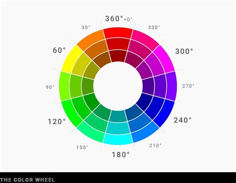 make a beautiful chart using bright colors to express constitutional ...