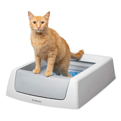 ScoopFree® Complete Self-Cleaning Litter Box | PetSafe®